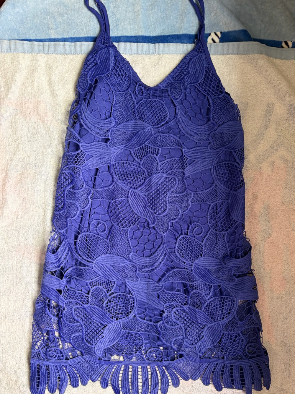 Express Royal Blue Lace Trim Tank